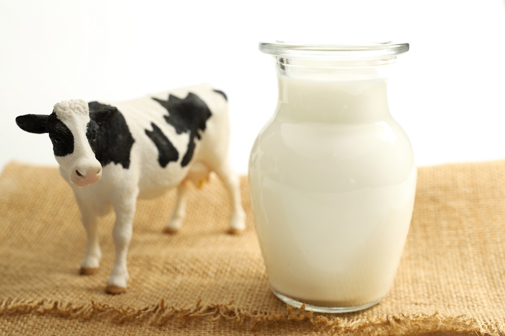乳糖不耐性、エストロゲン、環境ホルモン、不妊